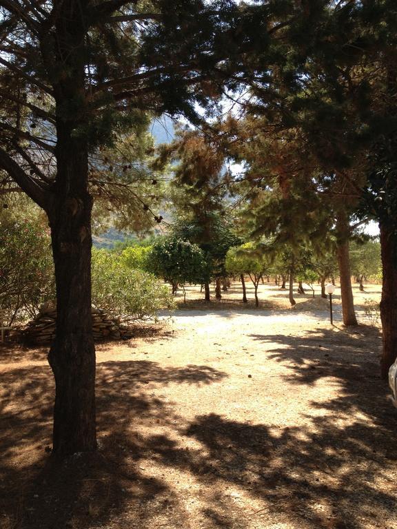 Vila La Giara San Vito Lo Capo Castelluzzo Exteriér fotografie