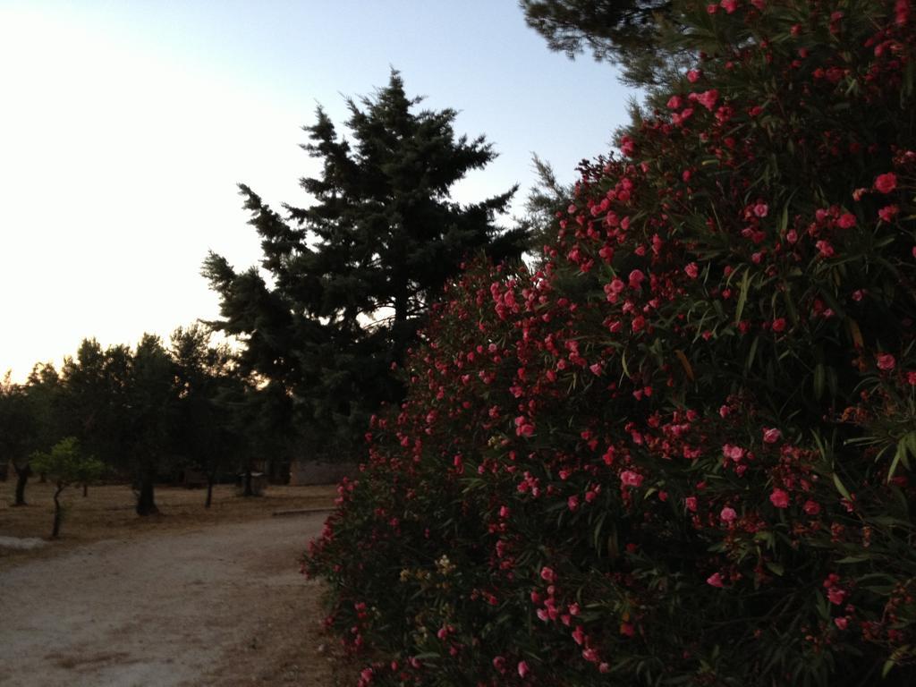 Vila La Giara San Vito Lo Capo Castelluzzo Exteriér fotografie